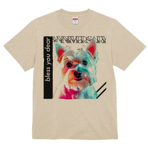 EGXgnChzCgeA TVc fB[X t@  t  vg JWA 킢 lԗp h ̃fUC ʔ EGXgnChzCgeA