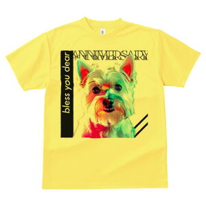 EGXgnChzCgeA TVc Y LbY t@  t  vg JWA 킢 lԗp h ̃fUC ʔ EGXgnChzCge