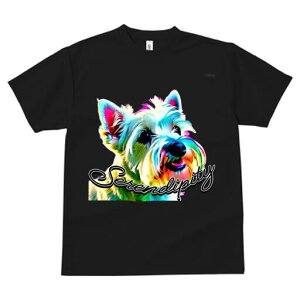 EGXgnChzCgeA TVc fB[X t@  t  vg JWA 킢 lԗp h ̃fUC ʔ TVc EGXgnChzC