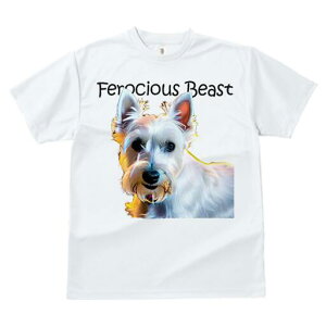 EGXgnChzCgeA TVc fB[X t@  t  vg JWA 킢 lԗp h ̃fUC ʔ EGXgnChzCgeA