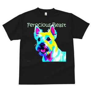 EGXgnChzCgeA TVc fB[X t@  t  vg JWA 킢 lԗp h ̃fUC ʔ EGXgnChzCgeA