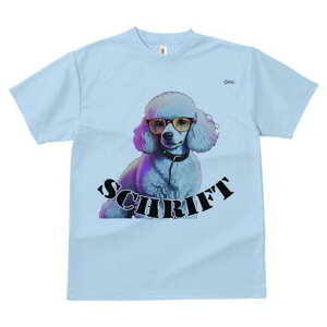 v[h TVc fB[X t@  t  vg JWA 킢 lԗp h ̃fUC ʔ Kl v[h 