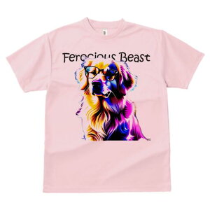 S[fgo[ TVc fB[X t@  t  vg JWA 킢 lԗp h ̃fUC ʔ Kl S[fgo[