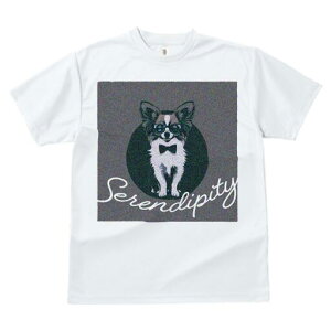 ` TVc fB[X t@  t  vg JWA 킢 lԗp h ̃fUC ʔ Kl ` lN^C