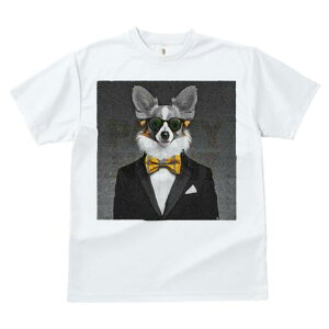 R[M[ TVc fB[X t@  t  vg JWA 킢 lԗp h ̃fUC ʔ lN^C R[M[ X[c