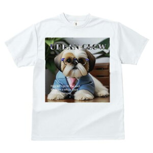 V[Y[ TVc fB[X t@  t  vg JWA 킢 lԗp h ̃fUC ʔ X[c V[Y[ lN^C Kl