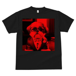 V[Y[ TVc Y LbY t@  t  vg JWA 킢 lԗp h ̃fUC ʔ X[c V[Y[ Kl lN^C 