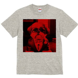 V[Y[ TVc Y LbY t@  t  vg JWA 킢 lԗp h ̃fUC ʔ X[c V[Y[ Kl lN^C 