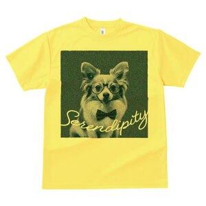 ` TVc fB[X t@  t  vg JWA 킢 lԗp h ̃fUC ʔ Kl ` lN^C