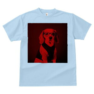 r[O TVc fB[X t@  t  vg JWA 킢 lԗp h ̃fUC ʔ Kl r[O Z[^[