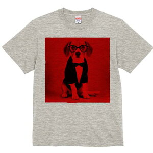 r[O TVc Y LbY t@  t  vg JWA 킢 lԗp h ̃fUC ʔ Kl r[O lN^C ^LV[h