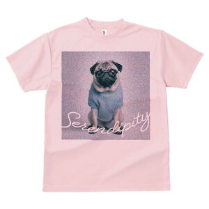 pO TVc fB[X t@  t  vg JWA 킢 lԗp h ̃fUC ʔ Kl pO 