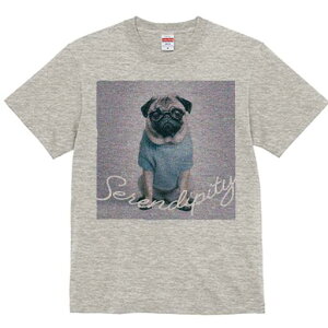 pO TVc fB[X t@  t  vg JWA 킢 lԗp h ̃fUC ʔ Kl pO 