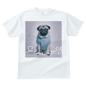 pO TVc fB[X t@  t  vg JWA 킢 lԗp h ̃fUC ʔ Kl pO 