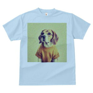 r[O TVc fB[X t@  t  vg JWA 킢 lԗp h ̃fUC ʔ Z[^[ r[O TOX