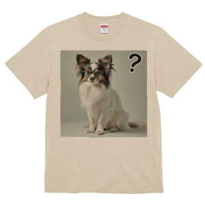 ps TVc fB[X t@  t  vg JWA 킢 lԗp h ̃fUC ʔ Kl ps ^╄