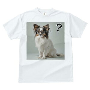 ps TVc Y LbY t@  t  vg JWA 킢 lԗp h ̃fUC ʔ Kl ps ^╄