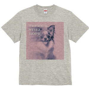 ` TVc fB[X t@  t  vg JWA 킢 lԗp h ̃fUC ʔ Kl `