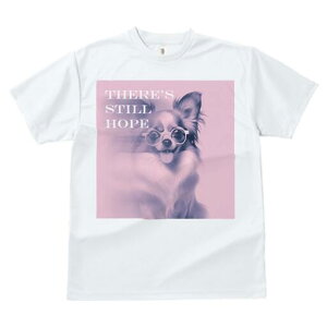 ` TVc fB[X t@  t  vg JWA 킢 lԗp h ̃fUC ʔ Kl `