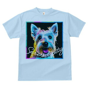 EGXgnChzCgeA TVc fB[X t@  t  vg JWA 킢 lԗp h ̃fUC ʔ EGXgnChzCgeA