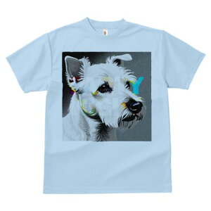 EGXgnChzCgeA TVc fB[X t@  t  vg JWA 킢 lԗp h ̃fUC ʔ EGXgnChzCgeA