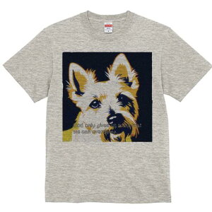 EGXgnChzCgeA TVc fB[X t@  t  vg JWA 킢 lԗp h ̃fUC ʔ EGXgnChzCgeA