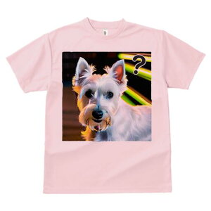 EGXgnChzCgeA TVc fB[X t@  t  vg JWA 킢 lԗp h ̃fUC ʔ EGXgnChzCgeA