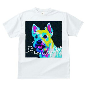 EGXgnChzCgeA TVc fB[X t@  t  vg JWA 킢 lԗp h ̃fUC ʔ EGXgnChzCgeA