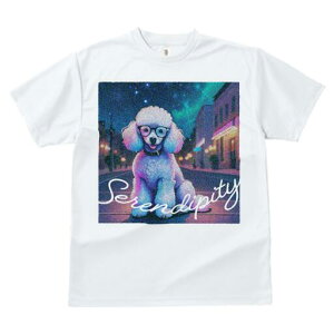 v[h TVc Y LbY t@  t  vg JWA 킢 lԗp h ̃fUC ʔ Kl v[h  X