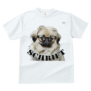 yLj[Y TVc fB[X t@  t  vg JWA 킢 lԗp h ̃fUC ʔ Kl yLj[Y