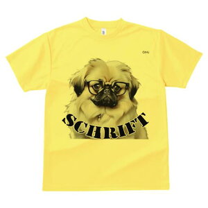 yLj[Y TVc fB[X t@  t  vg JWA 킢 lԗp h ̃fUC ʔ Kl yLj[Y