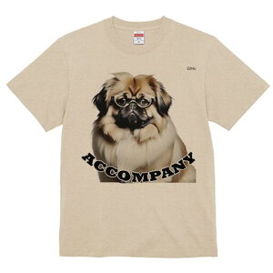 yLj[Y TVc fB[X t@  t  vg JWA 킢 lԗp h ̃fUC ʔ Kl yLj[Y