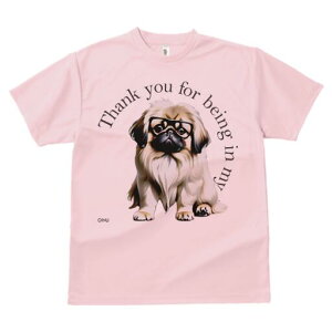 yLj[Y TVc fB[X t@  t  vg JWA 킢 lԗp h ̃fUC ʔ Kl yLj[Y