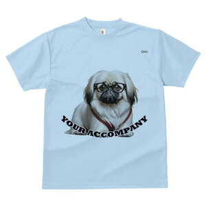 yLj[Y TVc fB[X t@  t  vg JWA 킢 lԗp h ̃fUC ʔ Kl yLj[Y ԂlN^C