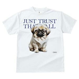 yLj[Y TVc fB[X t@  t  vg JWA 킢 lԗp h ̃fUC ʔ Kl yLj[Y