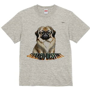 yLj[Y TVc fB[X t@  t  vg JWA 킢 lԗp h ̃fUC ʔ Kl yLj[Y