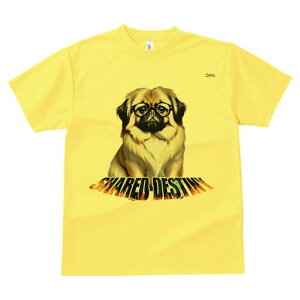 yLj[Y TVc fB[X t@  t  vg JWA 킢 lԗp h ̃fUC ʔ Kl yLj[Y