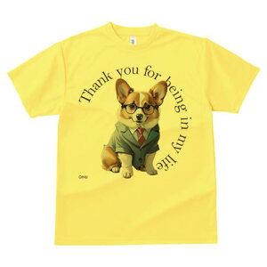 R[M[ TVc fB[X t@  t  vg JWA 킢 lԗp h ̃fUC ʔ X[c R[M[ lN^C Kl