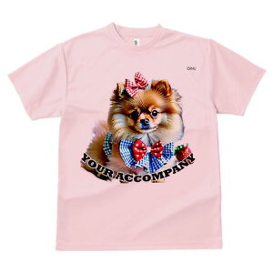 |jA TVc fB[X t@  t  vg JWA 킢 lԗp h ̃fUC ʔ { |jA hbOEFA