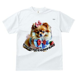 |jA TVc fB[X t@  t  vg JWA 킢 lԗp h ̃fUC ʔ { |jA hbOEFA