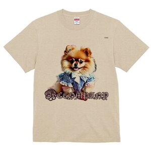 |jA TVc fB[X t@  t  vg JWA 킢 lԗp h ̃fUC ʔ  |jA {