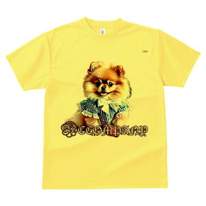 |jA TVc fB[X t@  t  vg JWA 킢 lԗp h ̃fUC ʔ  |jA {