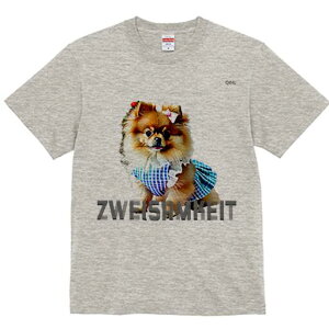 |jA TVc fB[X t@  t  vg JWA 킢 lԗp h ̃fUC ʔ  |jA {