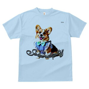 R[M[ TVc fB[X t@  t  vg JWA 킢 lԗp h ̃fUC ʔ lN^C R[M[ 