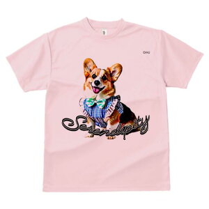 R[M[ TVc fB[X t@  t  vg JWA 킢 lԗp h ̃fUC ʔ lN^C R[M[ 