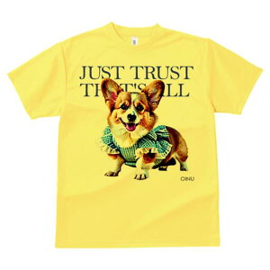 R[M[ TVc fB[X t@  t  vg JWA 킢 lԗp h ̃fUC ʔ  R[M[ `FbN