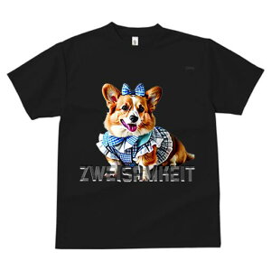 R[M[ TVc fB[X t@  t  vg JWA 킢 lԗp h ̃fUC ʔ { R[M[ 