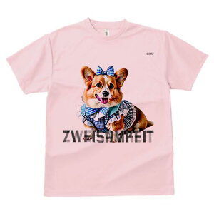 R[M[ TVc fB[X t@  t  vg JWA 킢 lԗp h ̃fUC ʔ { R[M[ 