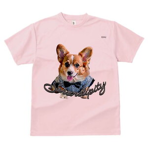 R[M[ TVc fB[X t@  t  vg JWA 킢 lԗp h ̃fUC ʔ lN^C R[M[ Vc