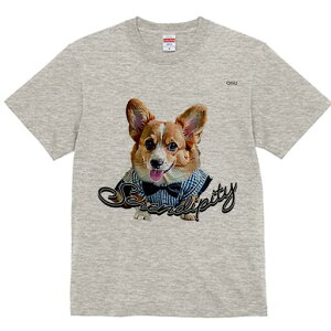 R[M[ TVc fB[X t@  t  vg JWA 킢 lԗp h ̃fUC ʔ lN^C R[M[ Vc